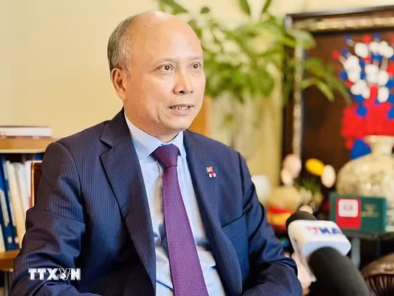 越南驻法国前大使丁全胜。（图片来源：越通社）