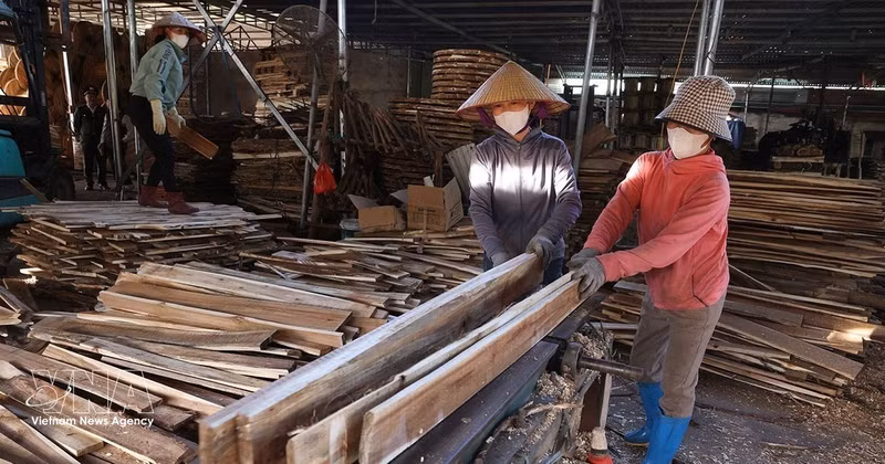 附图。（图片来源：越通社）