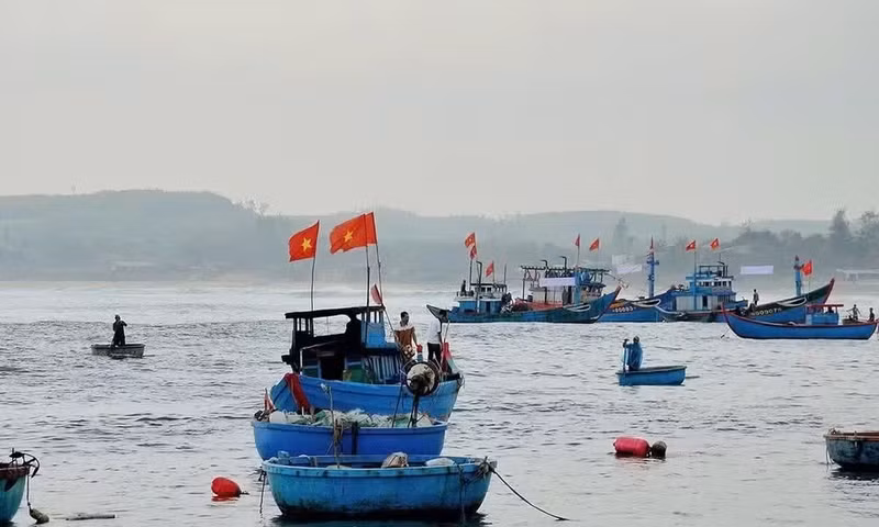 广义省渔民积极出海作业，严格遵守打击IUU捕捞相关规定。