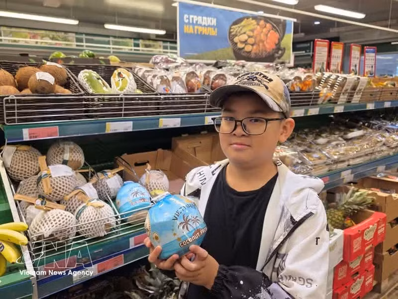 农产品出口在经济中起着作用日益重要，年均出口额达数百亿美元。（图片来源：越通社）