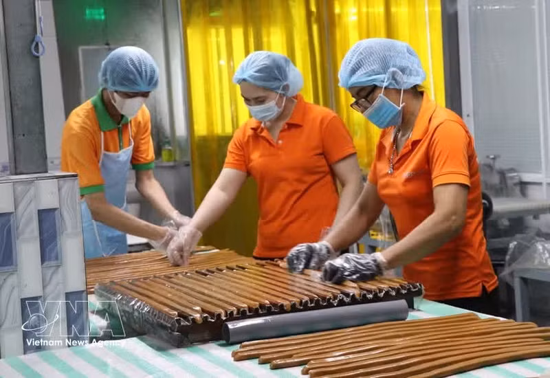 永隆省梂棋（Cầu Kè）椰蓉加工有限公司工人正在加工椰蓉产品。（图片来源：越通社）