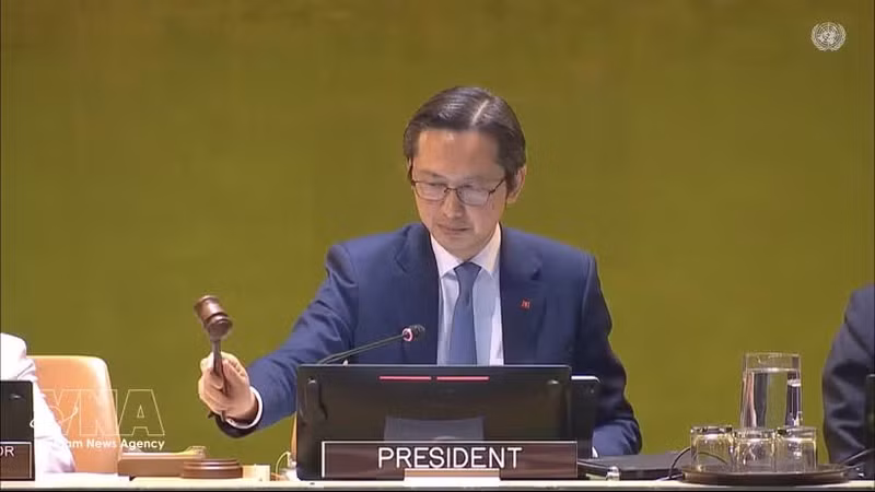 越南常驻联合国代表杜雄越。（图片来源：越通社）