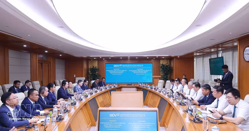 柬埔寨监察部部长访问并与越南投资发展股份商业银行举行工作会谈。（图片来源：越通社）
