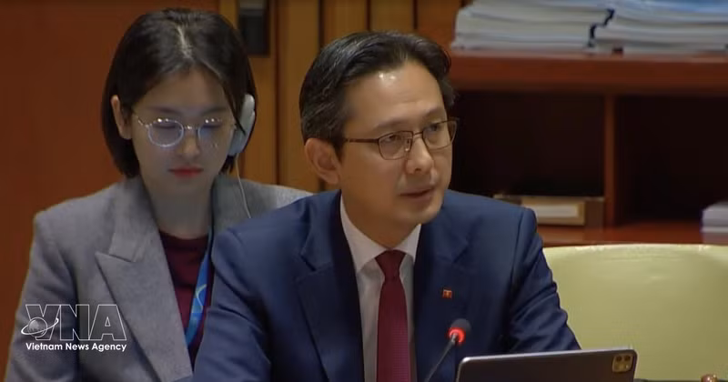 越南常驻联合国代表团团长杜雄越大使出席会议。（图片来源：越通社）