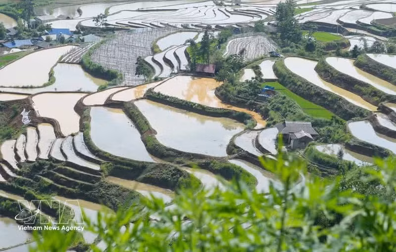  莱州省梯田进入灌水季节，美不胜收。