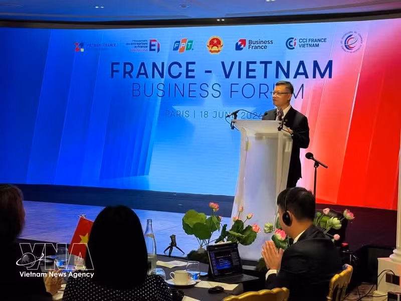 越南驻法国大使郑德海在会上发言。（图片来源：越通社）