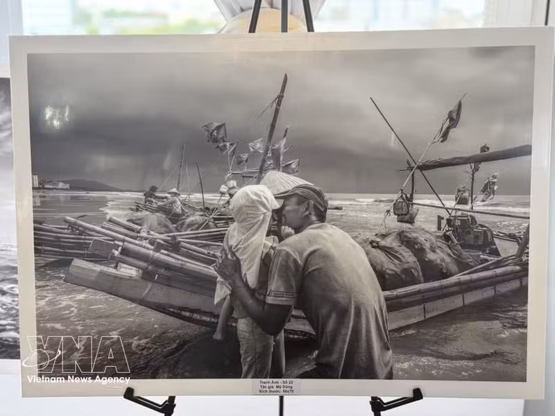 图片展展出的作品。（图片来源：越通社）