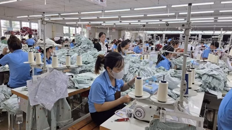 在广义和寿服装厂生产出口服装。（本报记者 明奎摄）