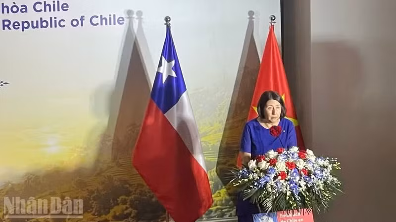 智利驻越南特命全权大使纳斯利·伊莎贝尔·贝尔纳尔·普拉多。（图片来源：克坚 摄）