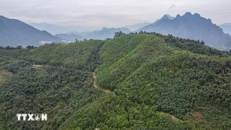附图。