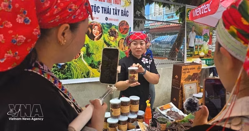 大力应用电商拓展少数民族地区特产市场。（图片来源：越通社）