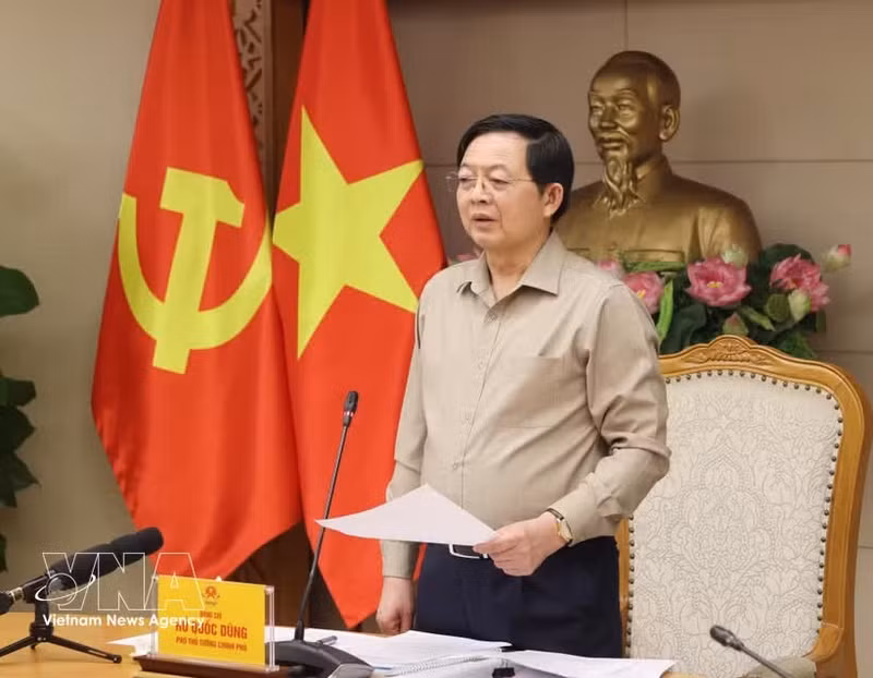 政府副总理胡国勇在会上致辞。（图片来源：越通社）