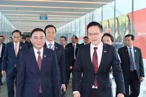 越共中央书记处常务书记陈锦秀抵达樟宜机场 开始访新之行。（图片来源：越通社）