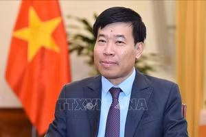越共中央委员、外交部党委常务副书记、外交部副部长阮孟强就。（图片来源：越通社）