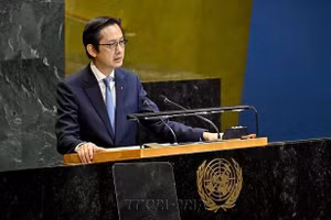 越南常驻联合国代表杜雄越大使在会议上介绍决议。（图片来源：越通社）