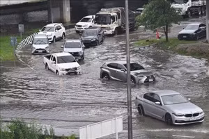 2026年9月26日，泰国首都曼谷因强降雨出现严重内涝。（图片来源：越通社）
