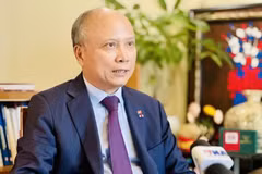 越南驻法国前大使丁全胜。（图片来源：越通社）