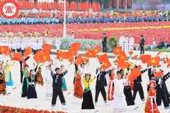 附图。