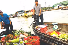 体验水上市场、品尝当地特色美食是吸引游客到访芹苴的重要亮点。
