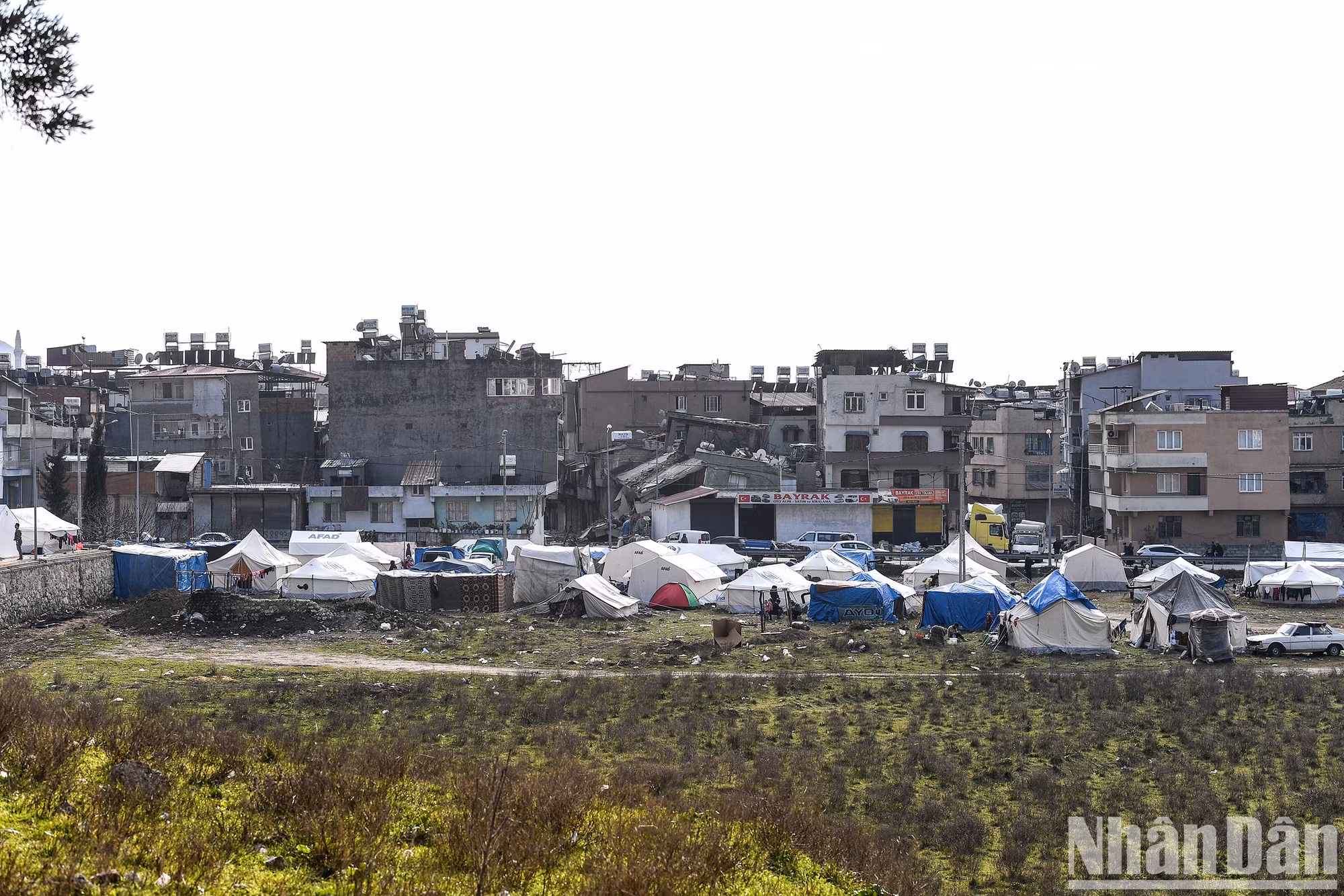 截至目前，土耳其政府还在地震灾区搭建了31.3万顶帐篷，安排了10万间临时房屋作为集装箱。