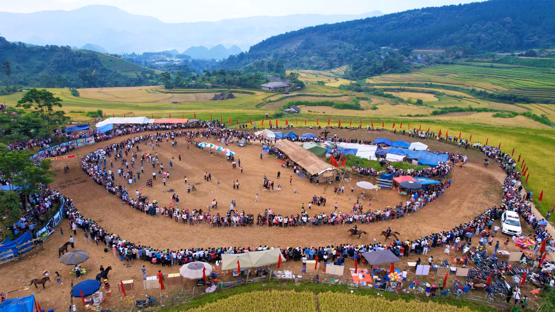 赛马场全景。 赛马场全景。