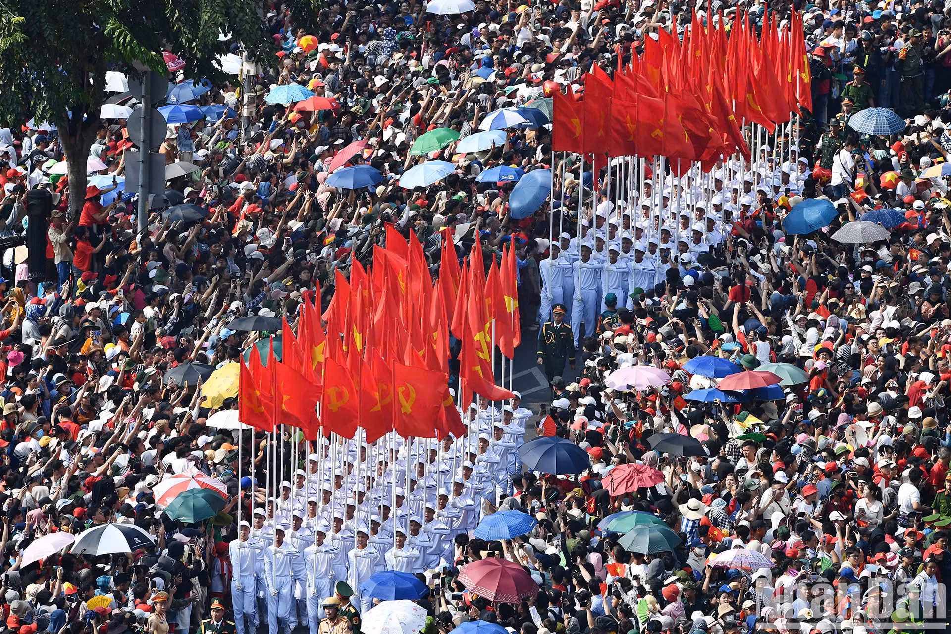 万众簇拥中，阅兵队伍威武前行【组图】