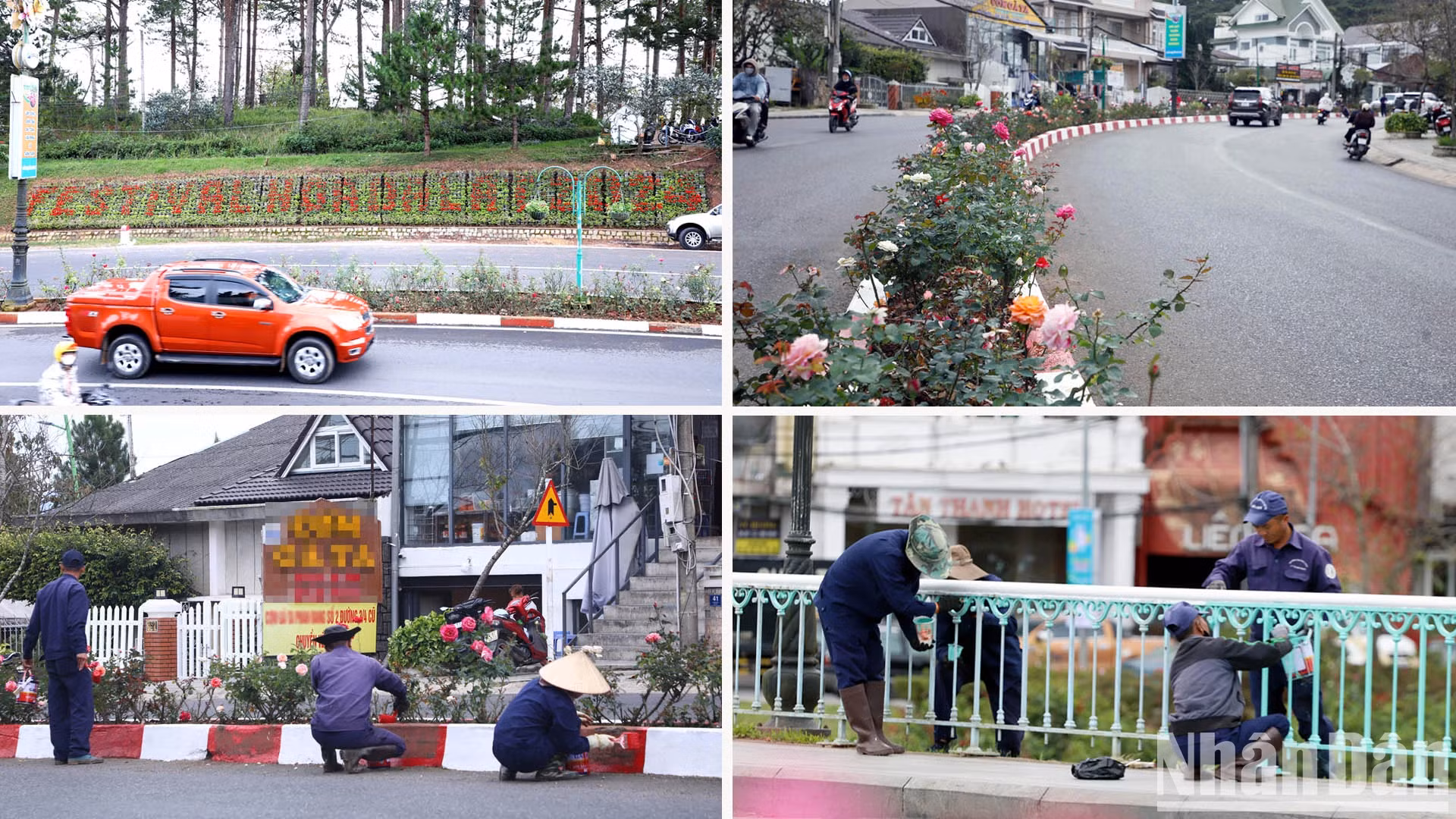按计划大叻花卉节将于12月5日开幕，长达1个月。期间将举行45项活动。