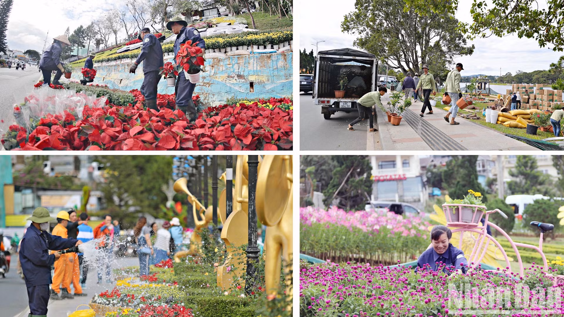花卉节准备、城市美化以及花空间、花卉微缩设计正在加紧完成。
