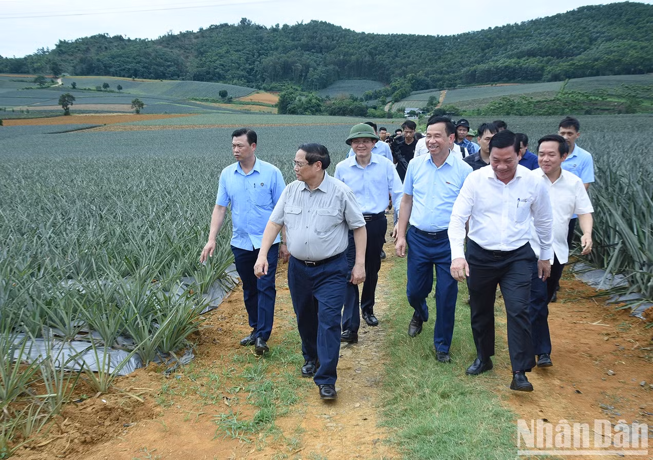 越南政府总理范明正视察宁平省基础设施重点工程【组图】