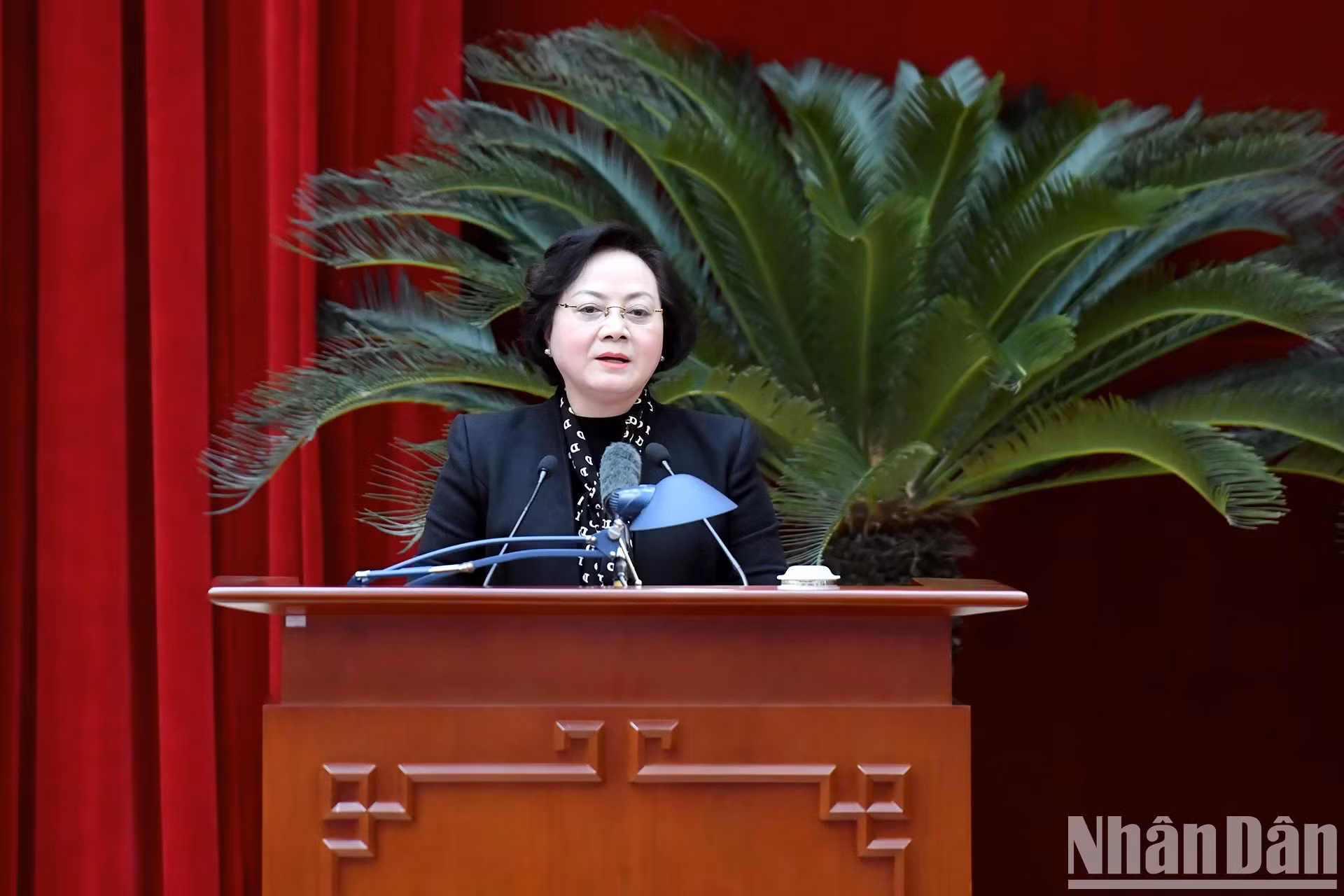 越共中央委员、内务部部长范氏青茶作报告。