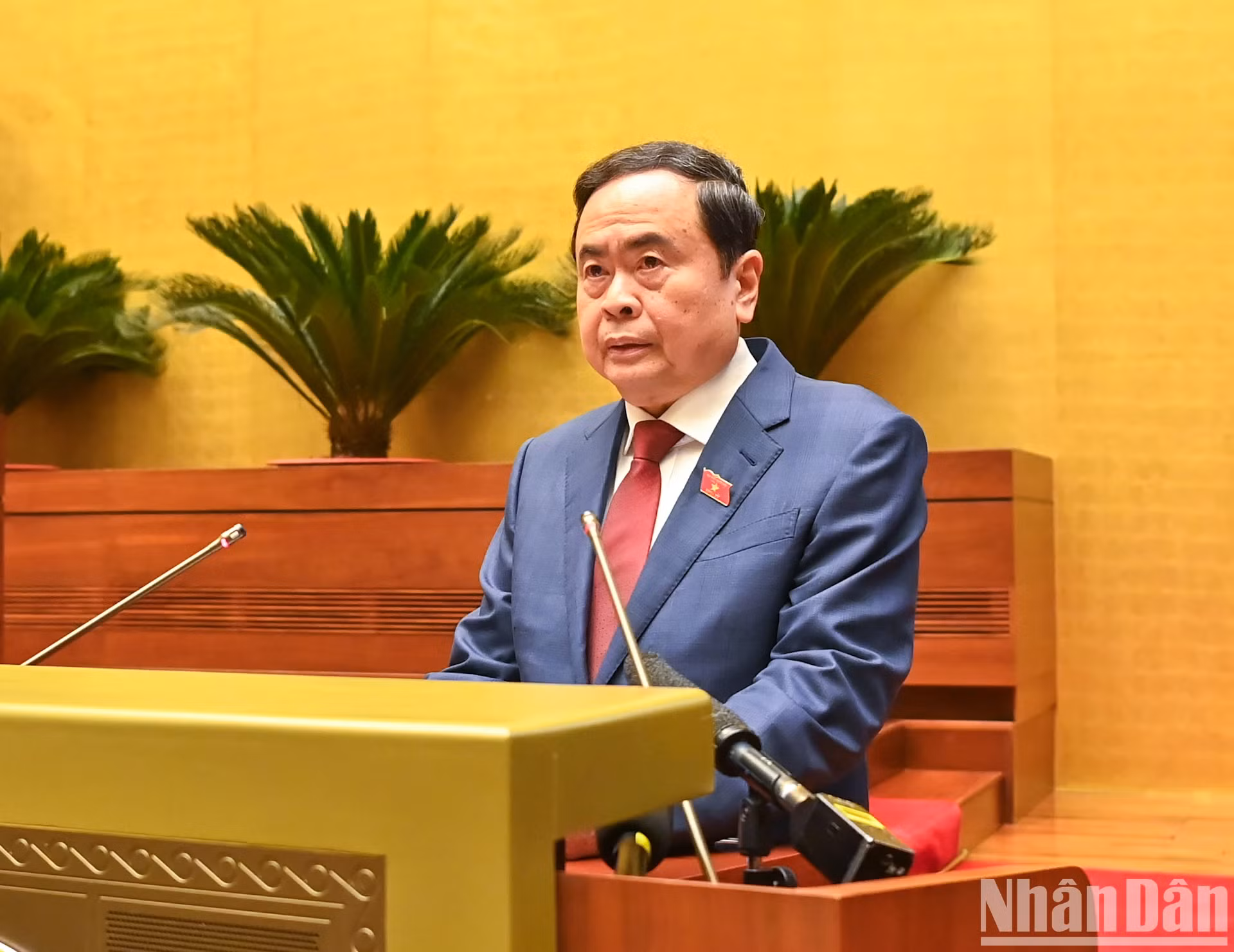 越南国会主席陈青敏在开幕式上致开幕词。