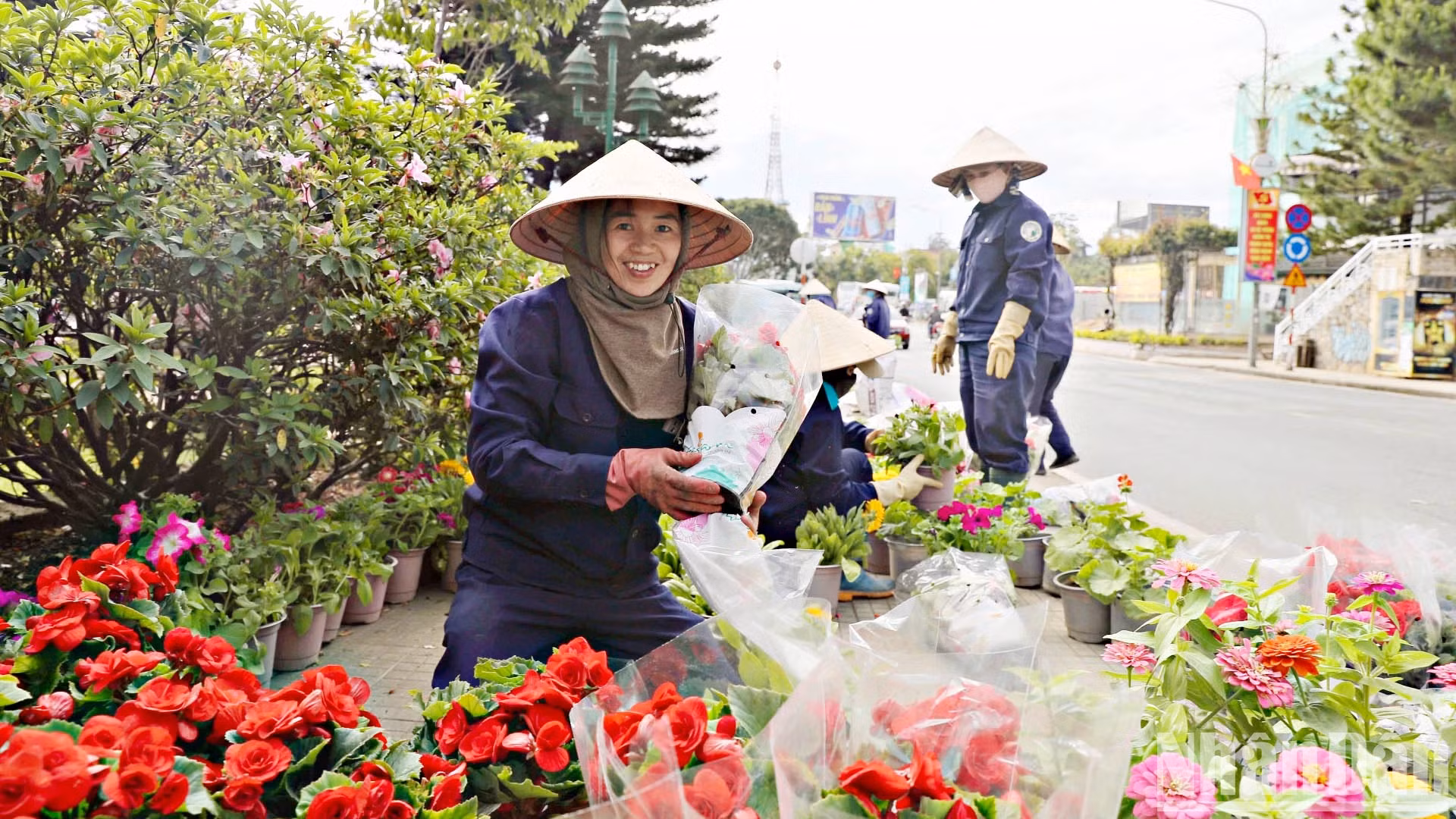 花卉节准备、城市美化以及花空间、花卉微缩设计正在加紧完成。