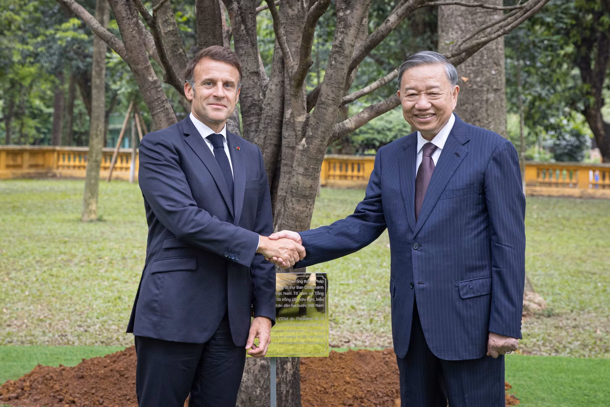越共中央总书记苏林和法国总统埃马纽埃尔·马克龙在胡志明主席遗迹区举行了友谊树种植仪式。