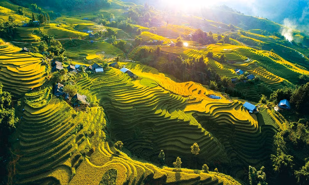 沙巴梯田。