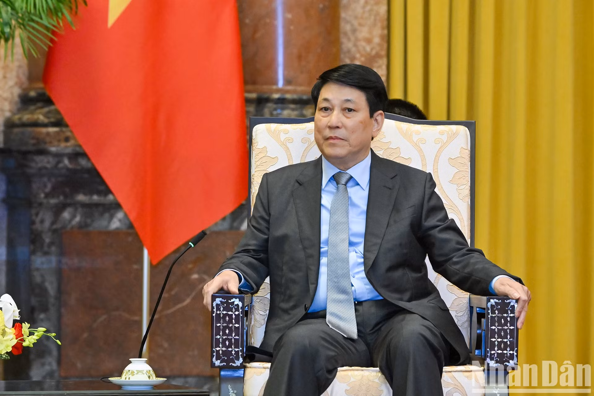 越南国家主席梁强在会见泰国总理佩通坦·西那瓦时发表讲话。