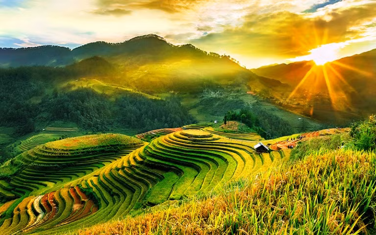 越南安沛省木江界诗情画意的田园风景吸引游客前来观赏。（图片来源：安沛省门户网站）