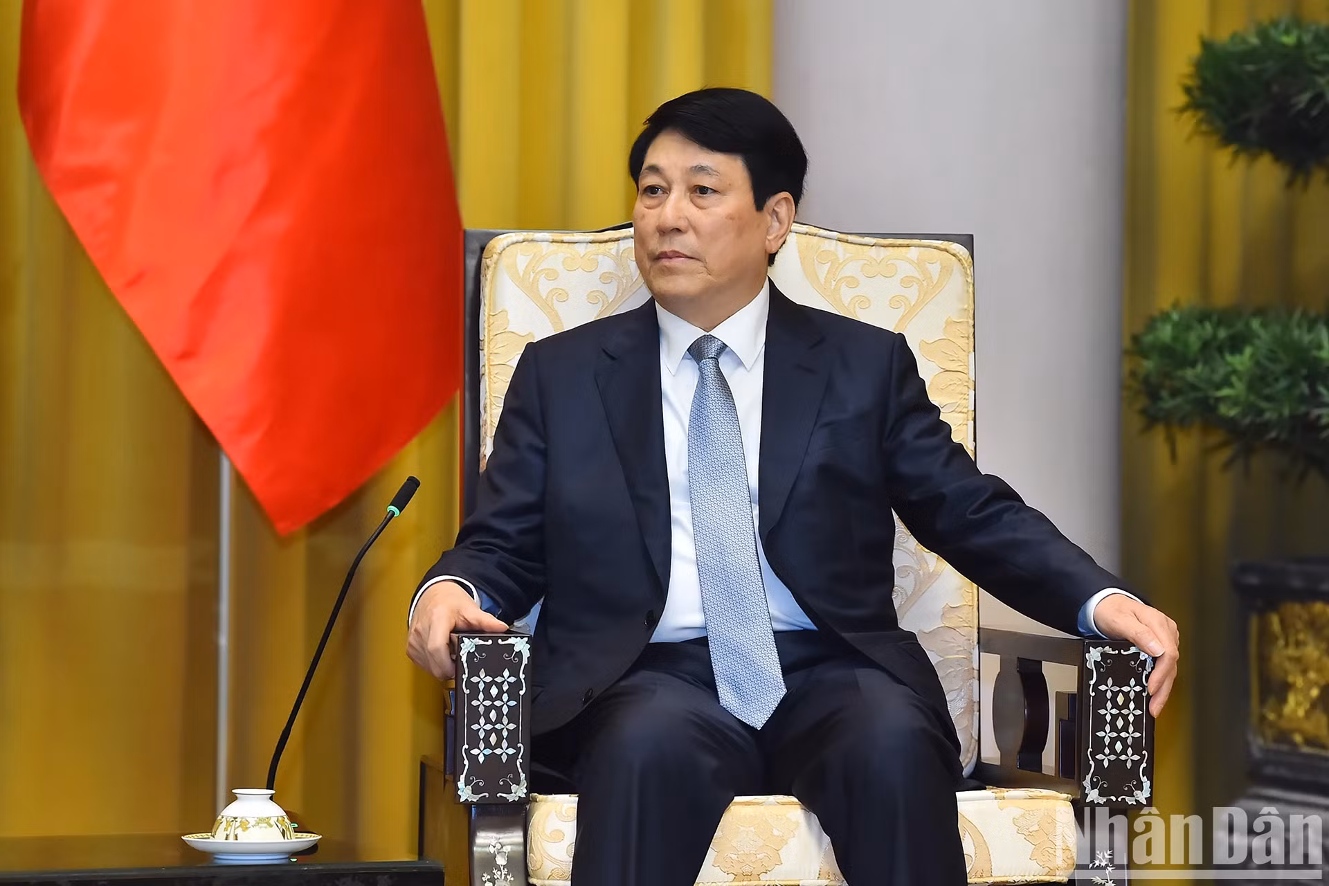 越南国家主席梁强在会见时发表讲话。