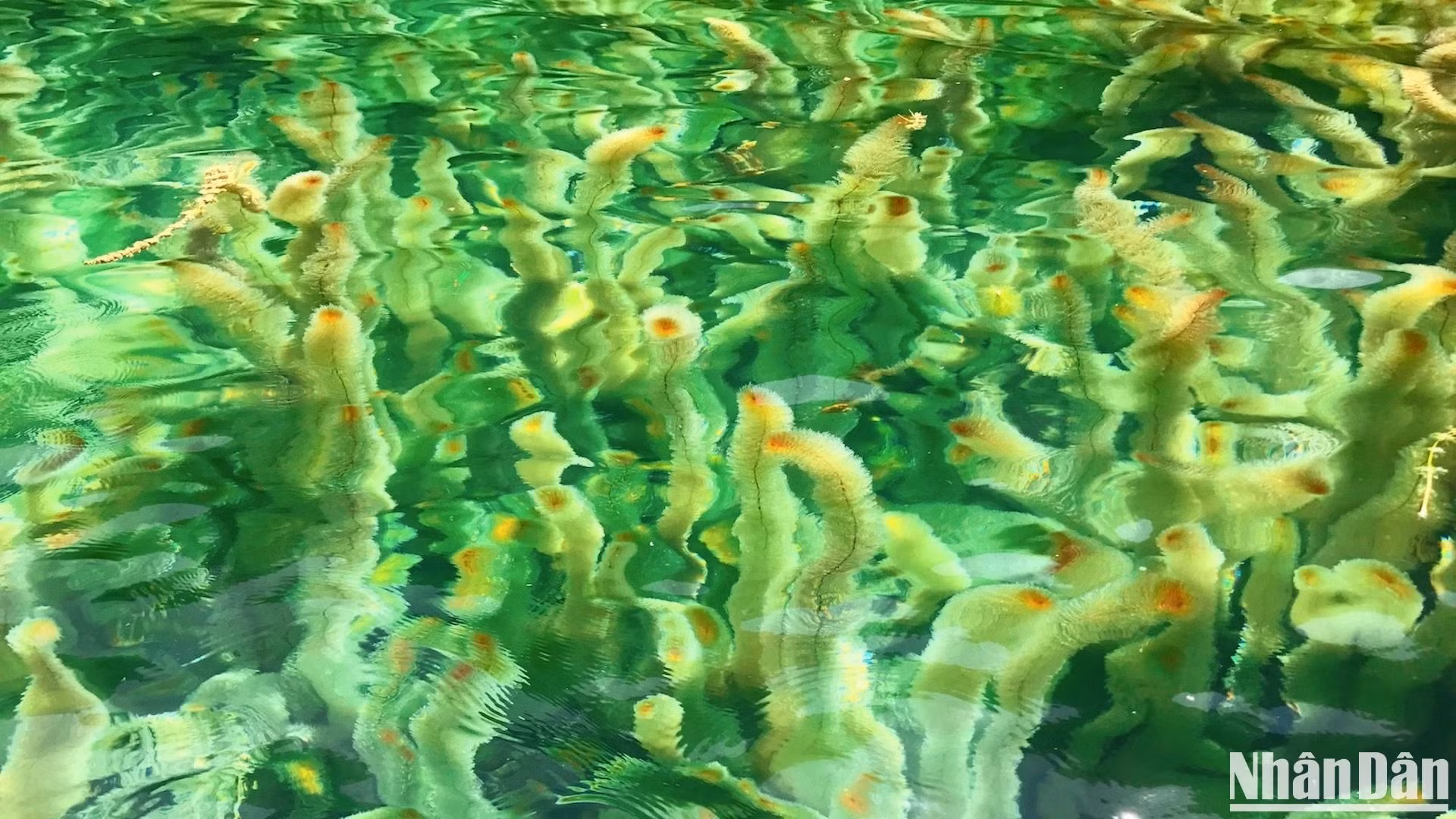 长安的初秋。