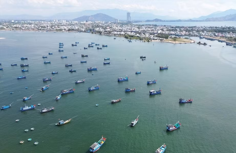 越南宁顺省的海洋经济发展潜力巨大。 该省力争到2025 年海洋经济生产总值占全省地区生产总值的41-42%。 越南宁顺省的海洋经济发展潜力巨大。 该省力争到2025 年海洋经济生产总值占全省地区生产总值的41-42%。