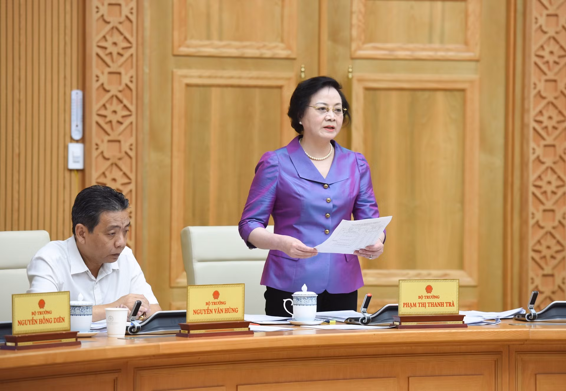 越南内务部部长范氏青茶在会上发表讲话。