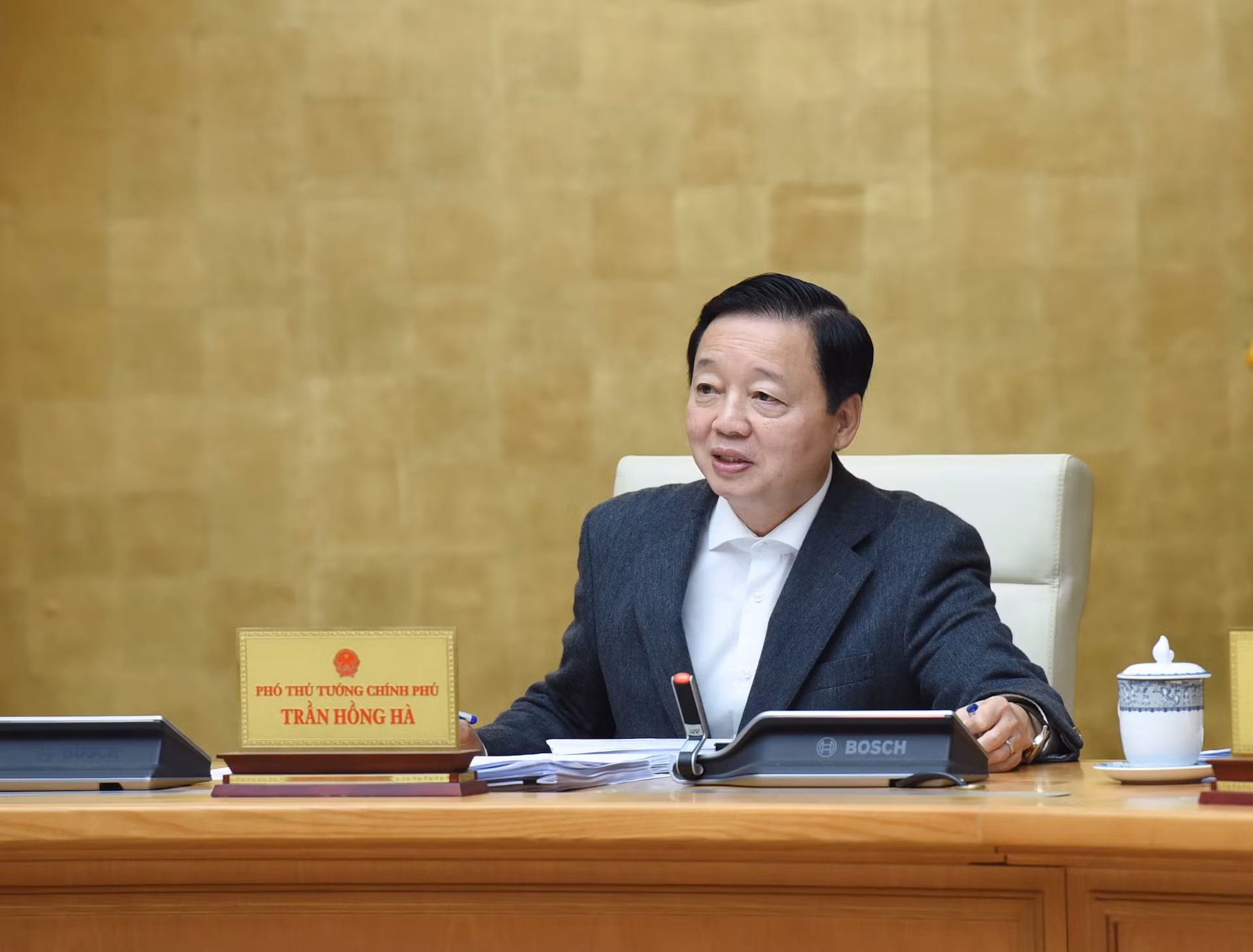 越南政府副总理陈红河在会上发表讲话。