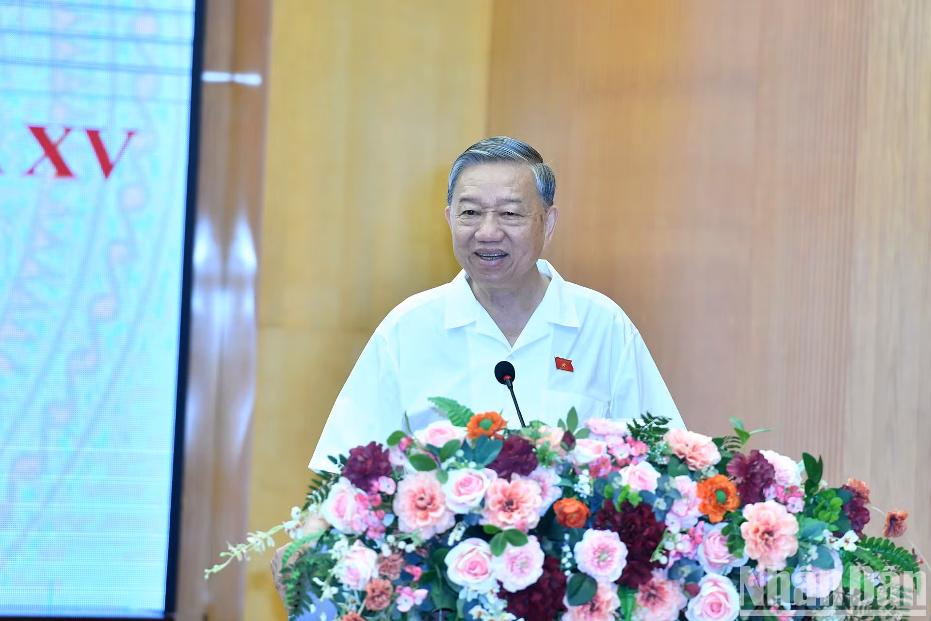 苏林总书记在会见河内市选民时发表讲话。