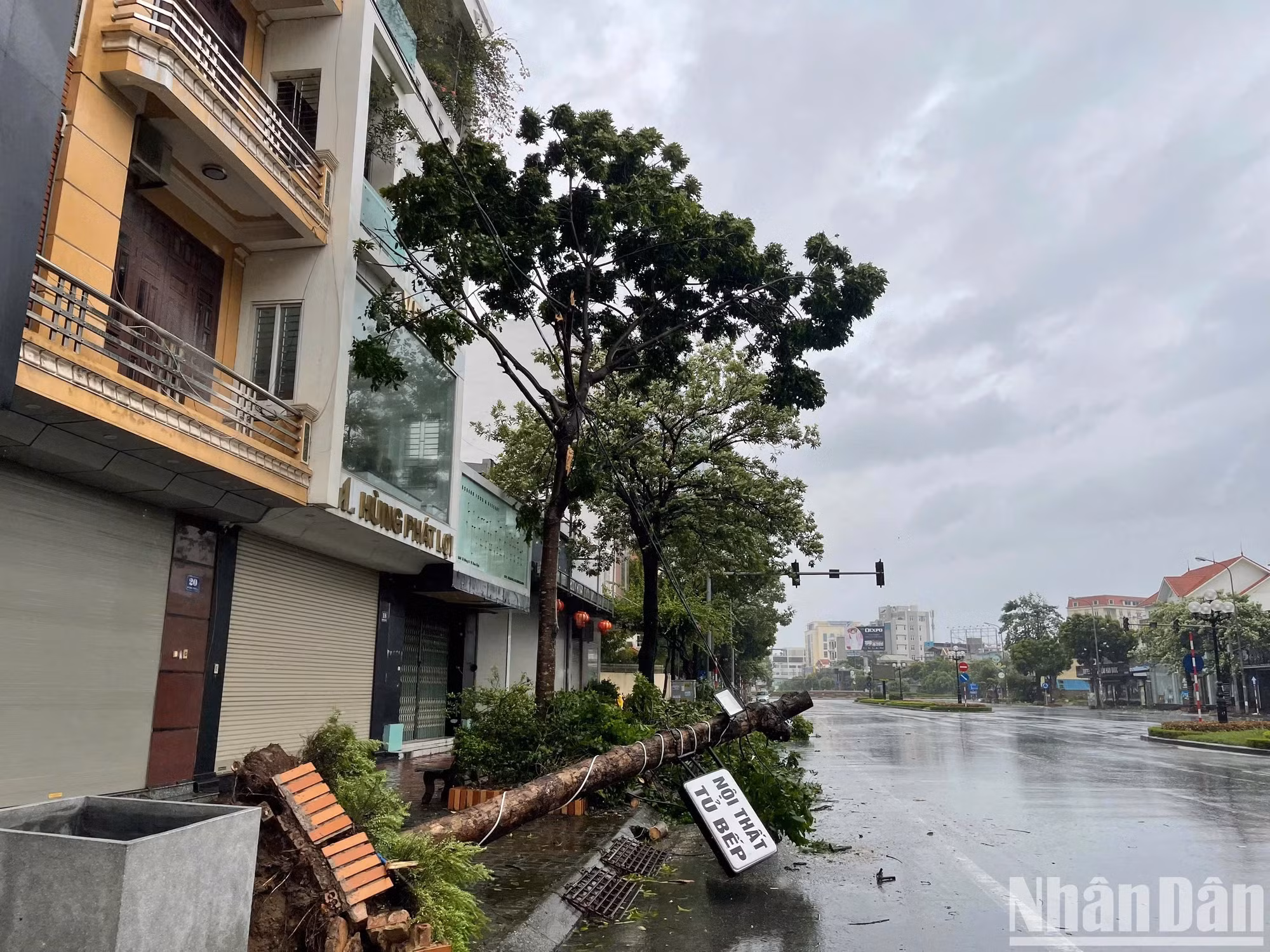 南定省多条路段的大树被连根拔起，广告牌被吹裂。