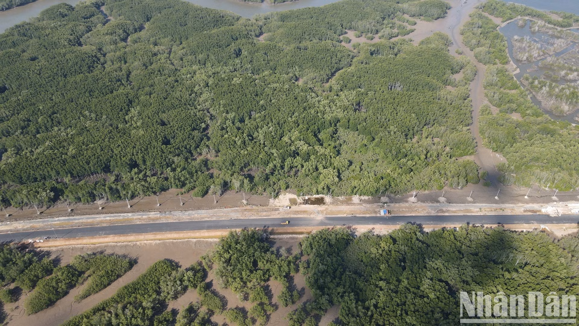 为了修建这条道路，同奈省将35公顷红树林的用途转为建设用地，并交由投资方进行项目施工。