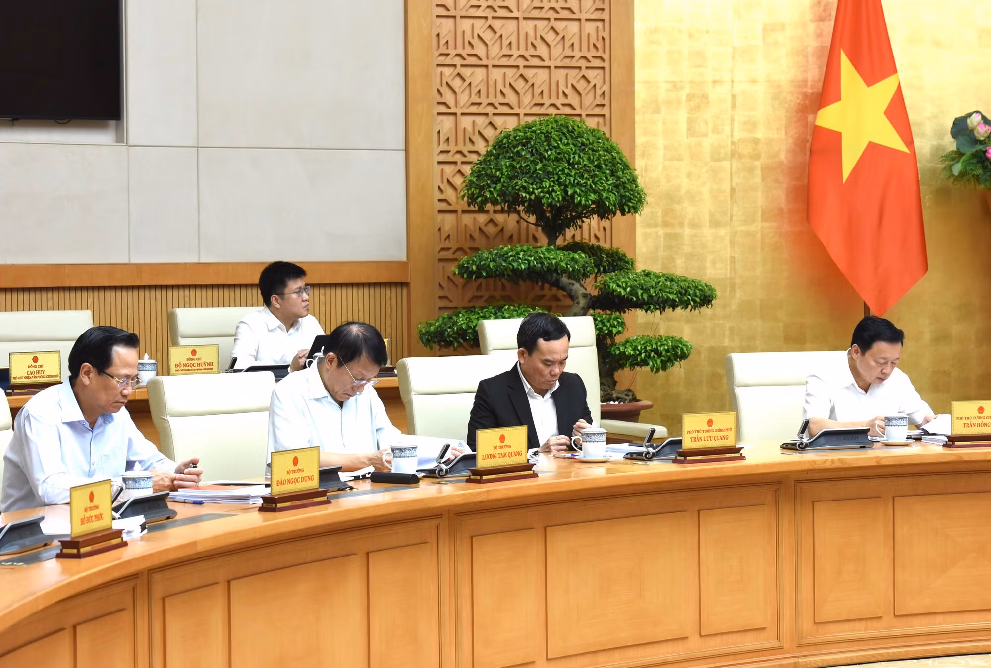 越共中央政治局委员、越共中央委员、政府副总理、政府成员、政府各部委行业领导等代表出席会议。