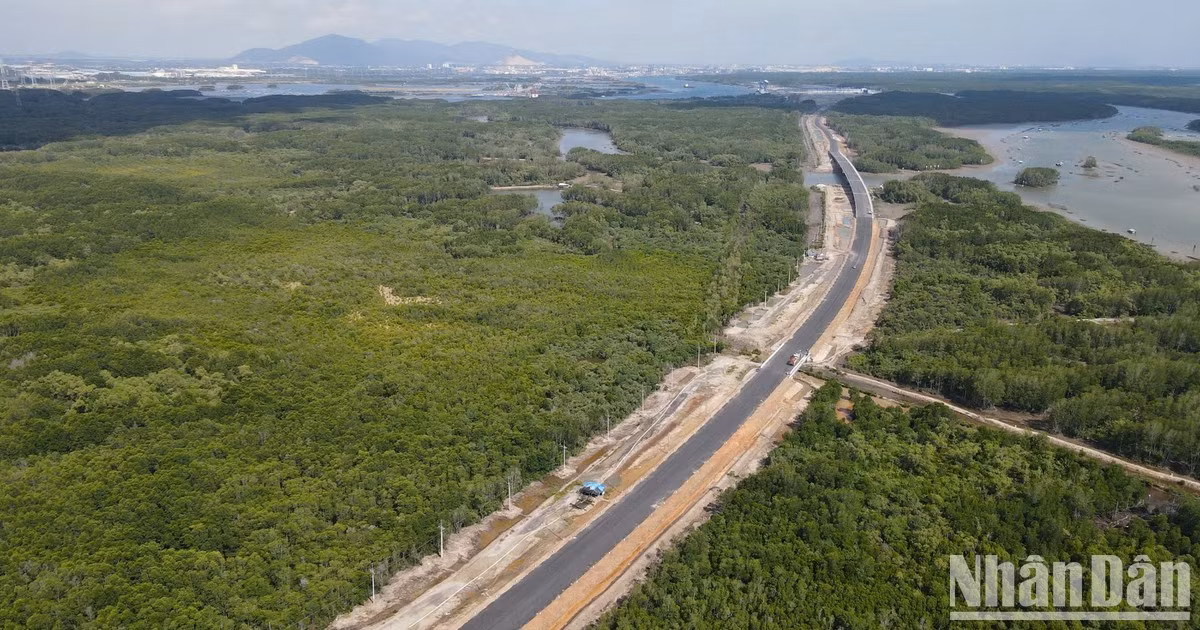 穿越红树林、连接同奈省最大海港的道路【组图】
