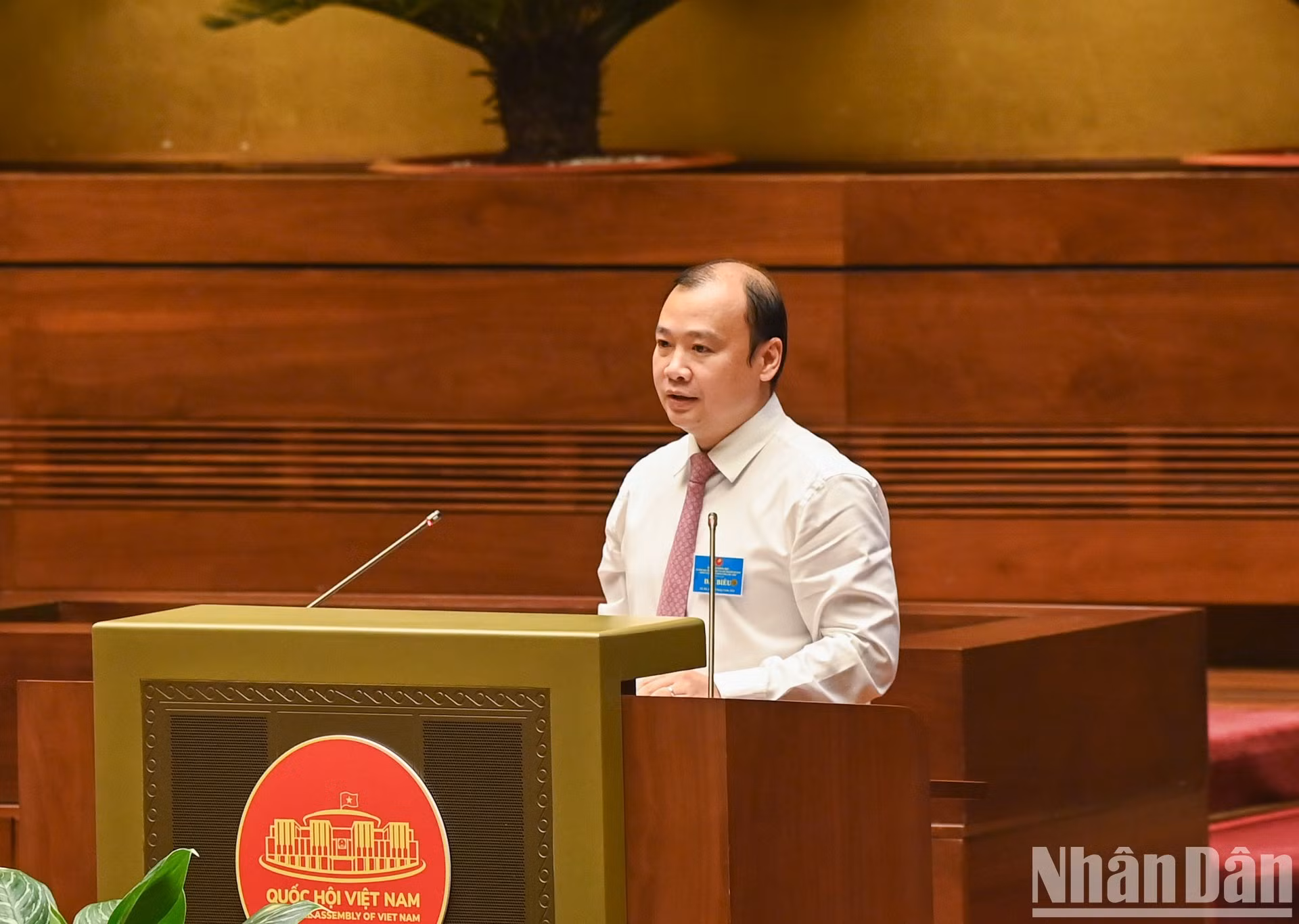 《越共主义杂志》总编辑黎海平在会上发言。 《越共主义杂志》总编辑黎海平在会上发言。