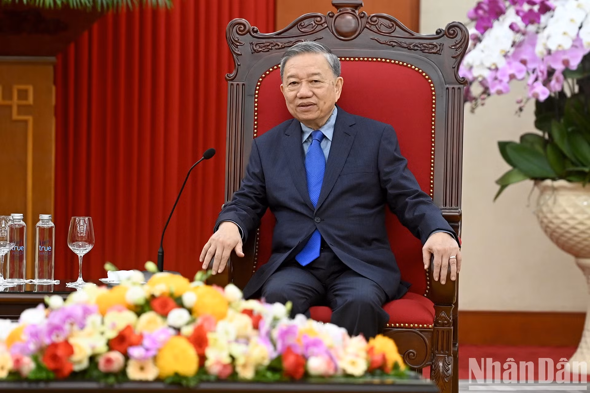 苏林总书记、国家主席在会见时发表讲话。