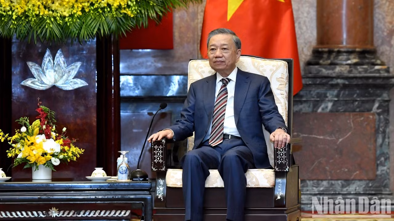 国家主席苏林在会见中发表讲话。