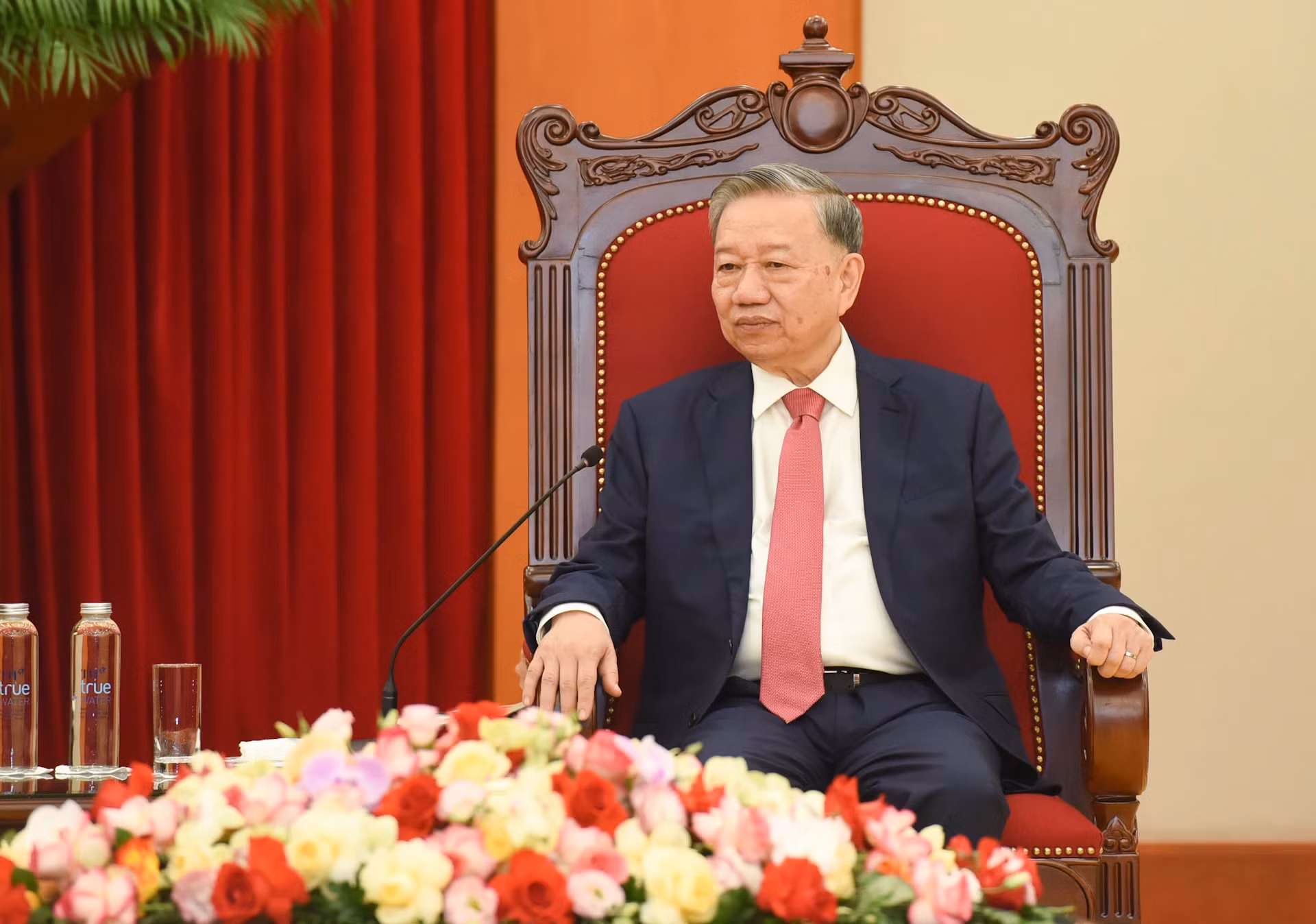 苏林总书记在会见中发表讲话。